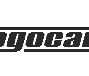 L4 BAG Кофр для небольших выездных комплектров на 1-3 прибора, с наплечным ремнем и внешним креплением для штативов.